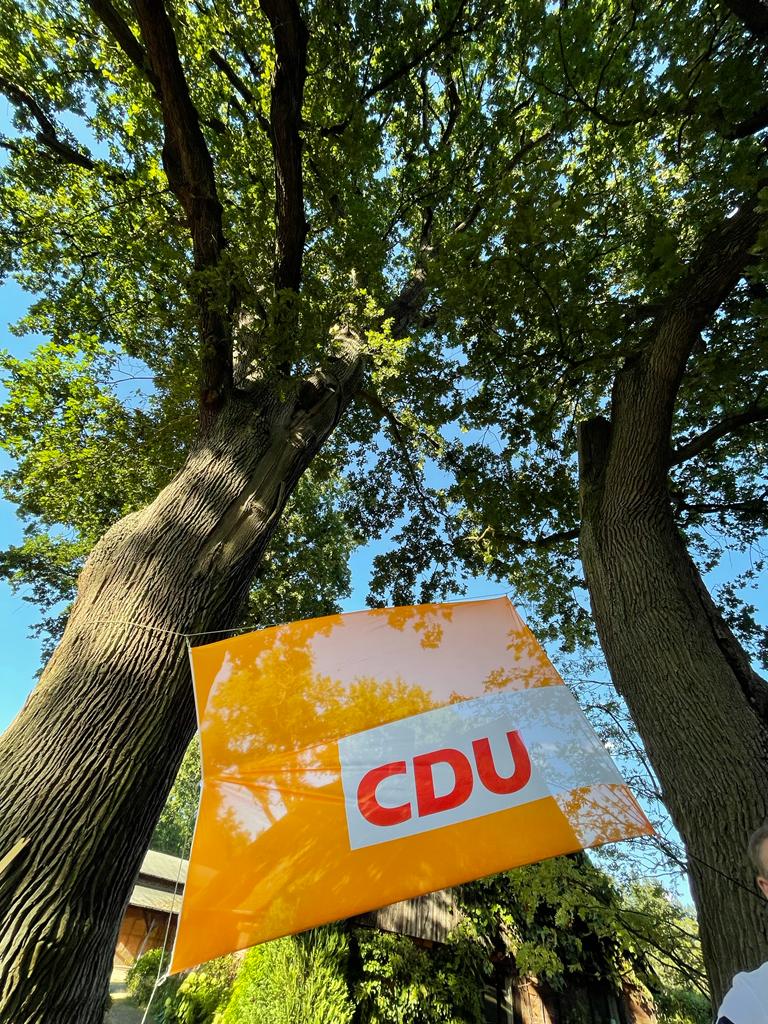 CDU-Fahne am Baum